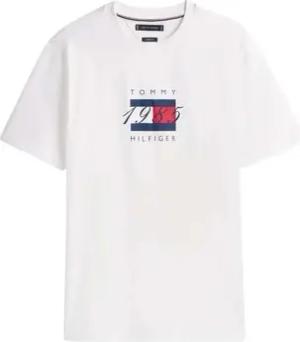 Tommy Hilfiger  T-Shirt LINEAR FLAG GRAPHIC TEE
