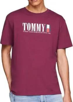 Tommy Hilfiger  T-Shirts & Poloshirts DM0DM18533-VVK