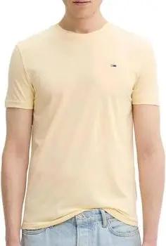 Tommy Hilfiger  T-Shirts & Poloshirts DM0DM20363-ZGA