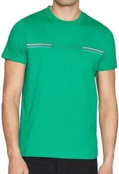 Tommy Hilfiger  T-Shirts & Poloshirts MW0MW34428