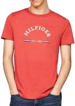 Tommy Hilfiger  T-Shirts & Poloshirts MW0MW35466-XM0