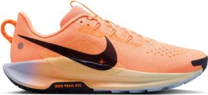 Trail-Schuhe Nike Pegasus Trail 5