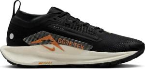 Trailrunning-Schuhe für Damen Nike Pegasus 5 Gore-Tex