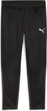 Trainingshose Puma Teamgoal