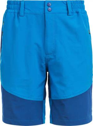 Trekkingshorts AVIAN M ACTIV STRETCH
