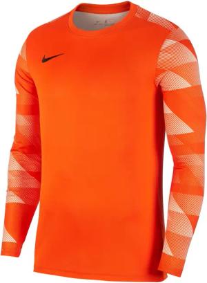 Trikot Nike Dri-FIT Park IV