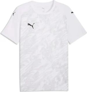 Trikot Puma Team Final Graphic