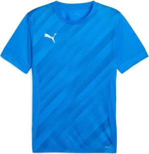 Trikot Puma teamGoal Graphic