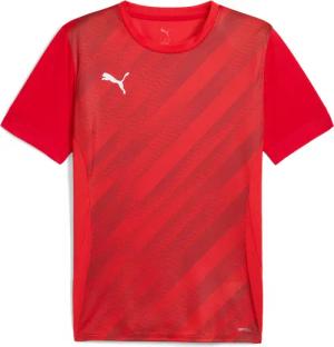 Trikot Puma teamGoal Graphic