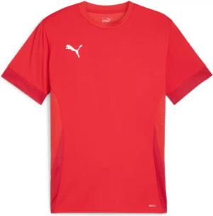 Trikot Puma Teamgoal Matchday
