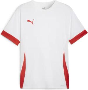 Trikot Puma TeamGoal