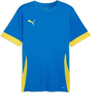 Trikot Puma TeamGoal
