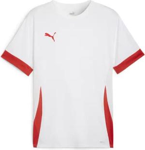 Trikot Puma TeamGoal