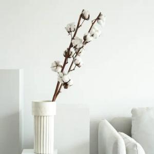 Trockenblume Getrocknete Baumwolle 60cm weiß, LYKKE & You