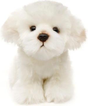 Uni-Toys Kuscheltier Malteser - 18 cm (Höhe) - Plüsch-Hund - Plüschtier, zu 100 % recyceltes Füllmaterial