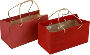 Viana Tragetasche Rote Geschenktüten mit Griffen aus Papier 24x12x12cm - 6er, 6 Stück