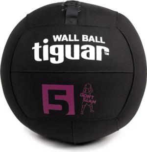 Wall Ball
