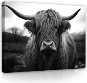 Wallarena Leinwandbild Schottisches Hochlandrind Grau Kuh Highland Schwarz Weiß Wandbilder, Schwarzweiss (Einteilig, 1 St), Bilder Klein Wohnzimmer Schlafzimmer Küche Wandbild Wand Deko 40x30