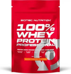 Whey Protein - 100% Whey Professional (500g) - Gesalzenes Karamell