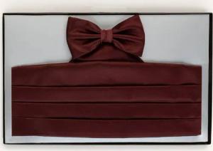 WILVORST Set: Fliege und Kummerbund