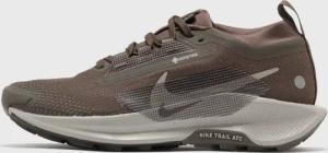 WMNS PEGASUS TRAIL 5 GTX