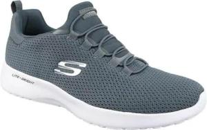 Zapatillas Hombre Skechers Dynamight Gris